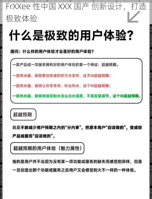 FrXXee 性中国 XXX 国产 创新设计，打造极致体验