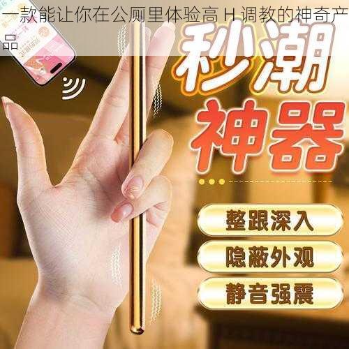 一款能让你在公厕里体验高 H **的神奇产品