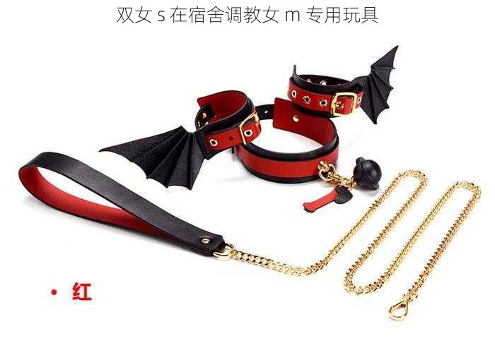 双女 s 在宿舍调教女 m 专用玩具