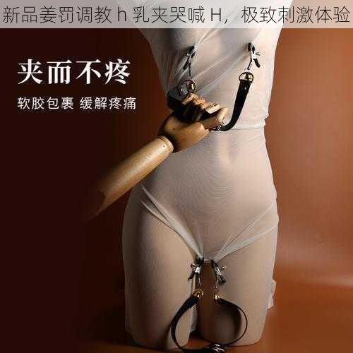 新品姜罚调教 h 乳夹哭喊 H，极致刺激体验
