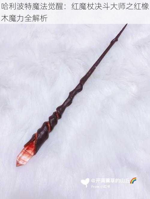 哈利波特魔法觉醒:红魔杖决斗大师之红橡木魔力全解析