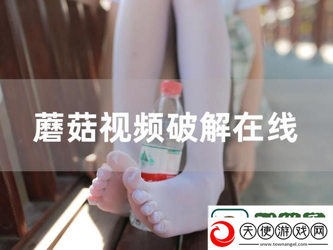 蘑菇视频网页版入口怎么打开