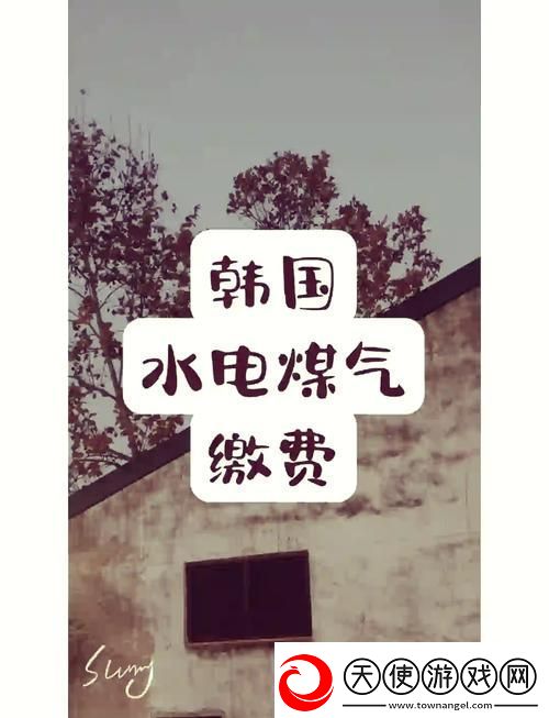 好看的韩国三色电费-审美与实用的完美结合
