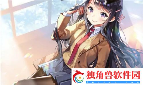 日本插槽x8是正规还是仿：美学与自我表达，美的个性与自由