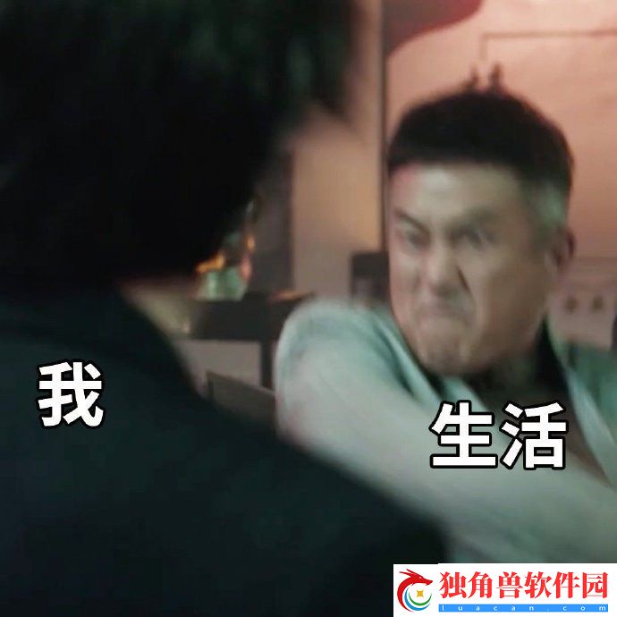 扫黑风暴表情包
