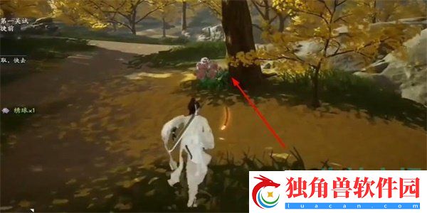 射雕手游绣球八仙怎么收集
