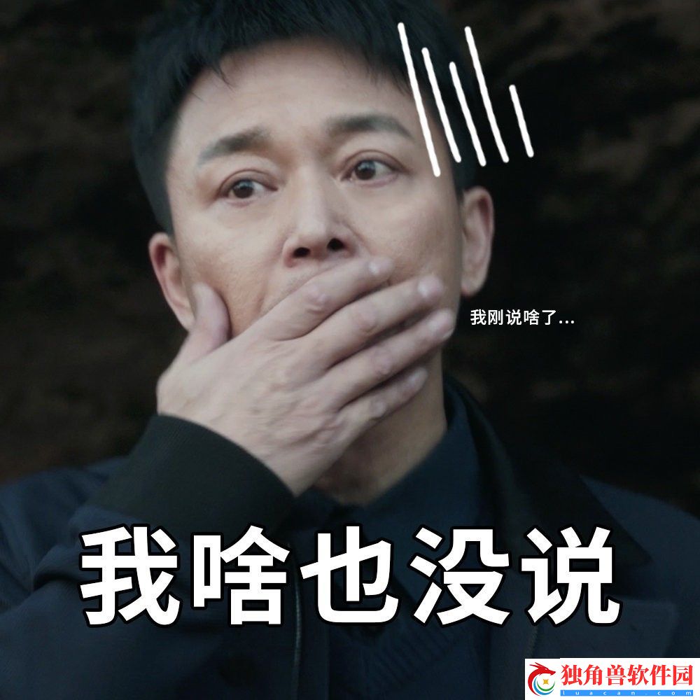 扫黑风暴表情包