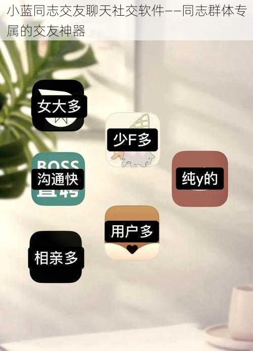 小蓝同志交友聊天社交软件——同志群体专属的交友神器