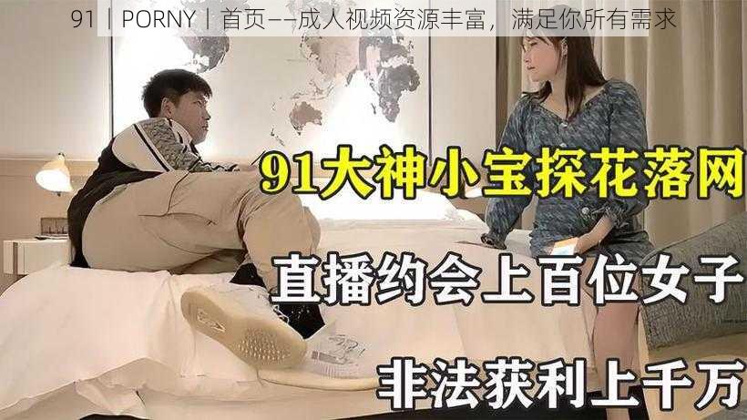 91丨PORNY丨首页——成人视频资源丰富，满足你所有需求