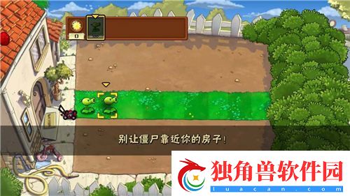 YSL蜜桃棕调色：遇见你的自然光采！
