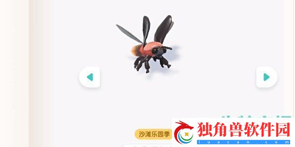 心动小镇潮流季沙滩乐园昆虫怎么收集