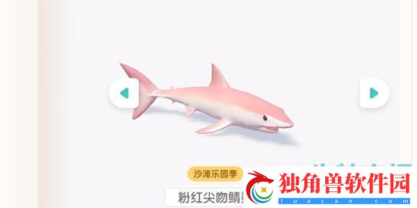 心动小镇潮流季沙滩乐园昆虫怎么收集