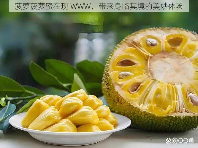 菠萝菠萝蜜在现 WWW，带来身临其境的美妙体验