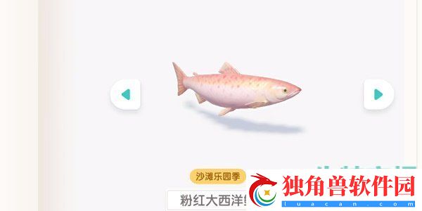 心动小镇潮流季沙滩乐园昆虫怎么收集