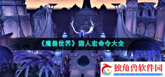 魔兽世界猎人宏命令有哪些：分享各类装备的属性加成效果