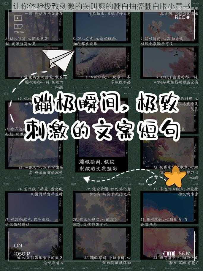 让你体验极致刺激的哭叫爽的翻白抽搐翻白眼小黄书