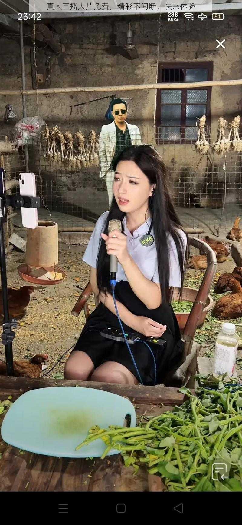 真人直播大片免费，精彩不间断，快来体验
