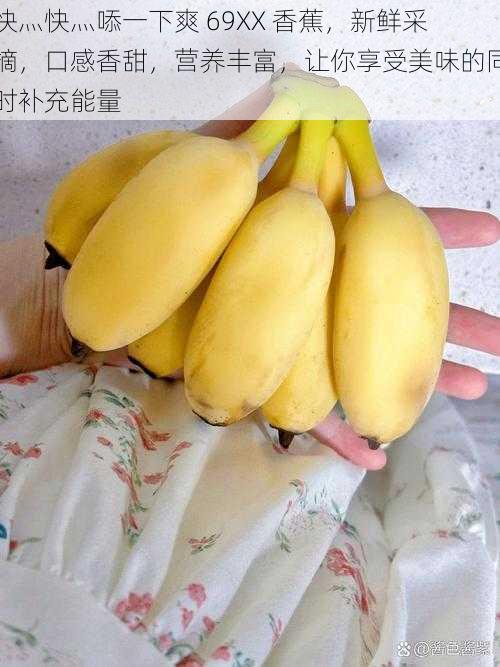 快灬快灬㖭一下爽 69XX 香蕉,新鲜采摘,口感香甜,营养丰富,让你享受美味的同时补充能量