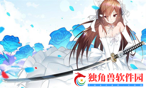 成品短视频app源码入口在哪