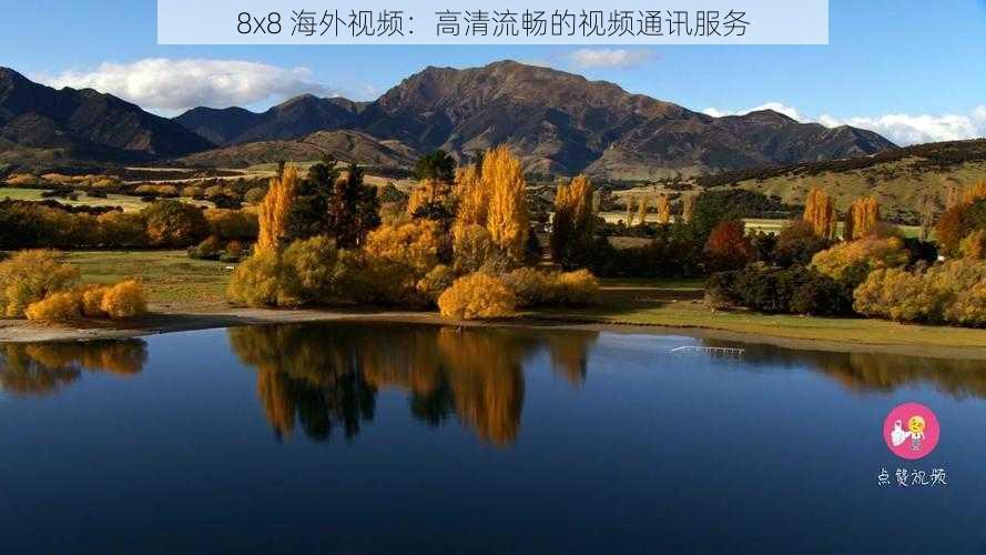 8x8 海外视频:高清流畅的视频通讯服务