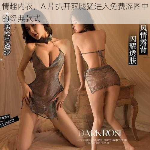 情趣内衣，A 片扒开双腿猛进入免费涩图中的经典款式