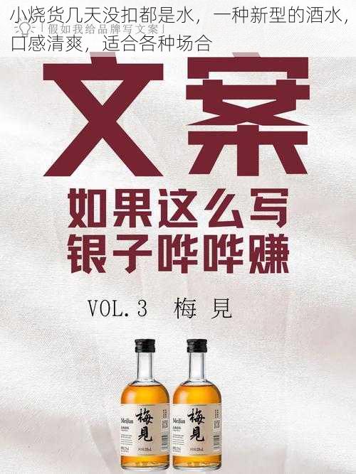 小烧货几天没扣都是水,一种新型的酒水,口感清爽,适合各种场合