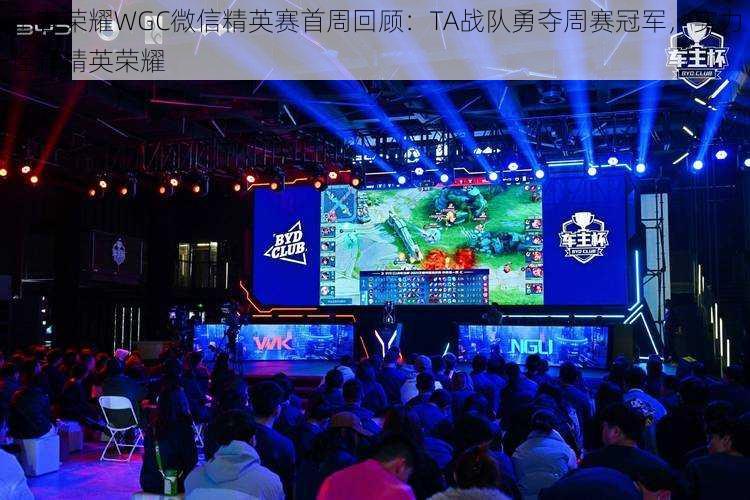 王者荣耀WGC微信精英赛首周回顾:TA战队勇夺周赛冠军,实力诠释精英荣耀