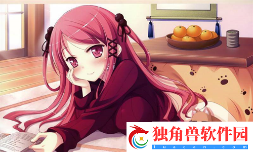成品软件大全免费下载安装：轻松获取高质量应用程序的最佳途径