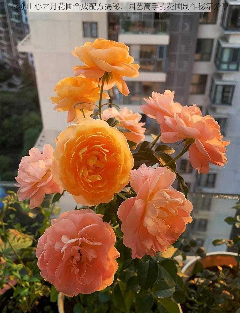 花亦山心之月花圃合成配方揭秘:园艺高手的花圃制作秘籍分享