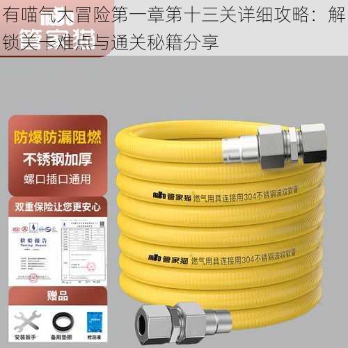 有喵气大冒险第一章第十三关详细攻略：解锁关卡难点与通关秘籍分享