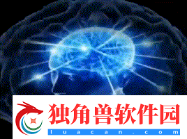 和三款飞机杯相处了48小时后
