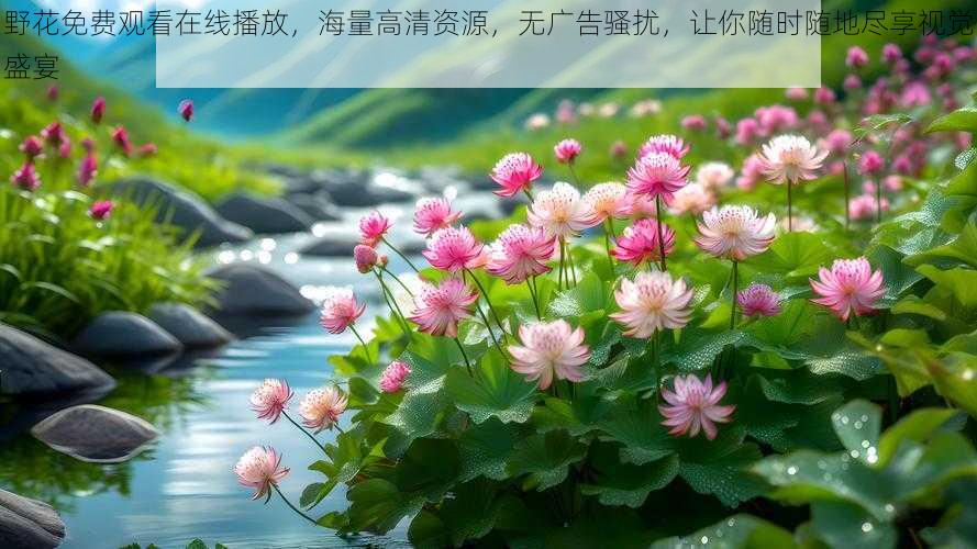 野花免费观看在线播放,海量高清资源,无广告骚扰,让你随时随地尽享视觉盛宴