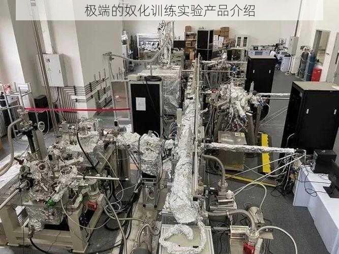 极端的奴化训练实验产品介绍