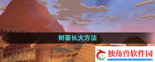 我的世界树苗长大方法