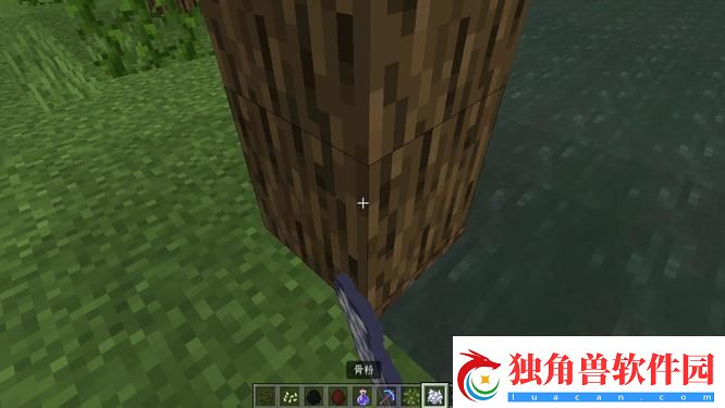 我的世界树苗长大方法