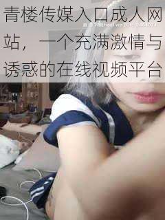 青楼传媒入口成人网站，一个充满激情与诱惑的在线视频平台
