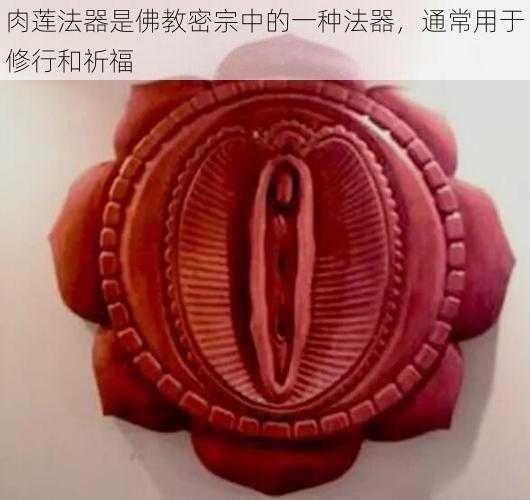 肉莲法器是佛教密宗中的一种法器，通常用于修行和祈福