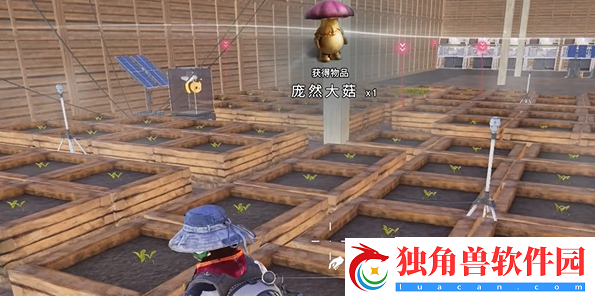 七日世界庞然大菇怎么获得