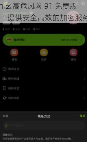 九幺高危风险 91 免费版——提供安全高效的加密服务