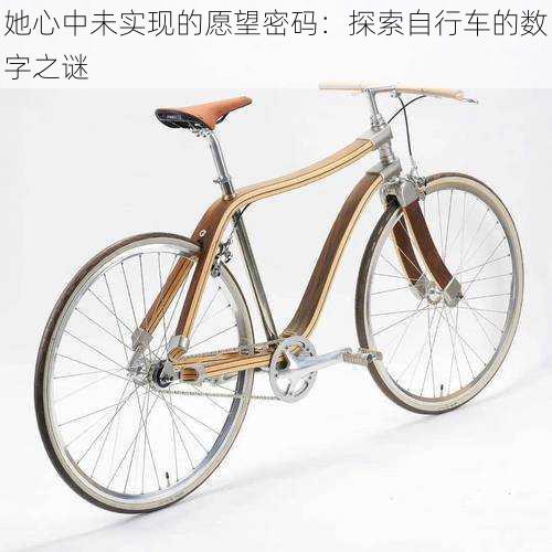 她心中未实现的愿望密码:探索自行车的数字之谜