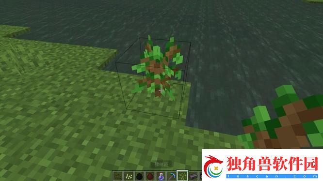 我的世界树苗长大方法