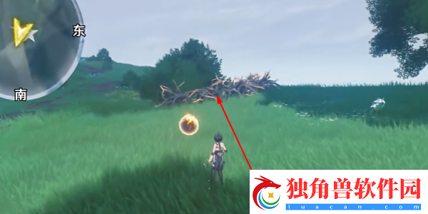 鸣潮无光之森这个区域怎么解谜具体的解谜步骤是什么