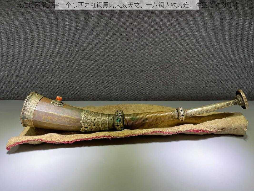 肉莲法器最厉害三个东西之红铜黑肉大威天龙、十八铜人铁肉连、生猛海鲜肉莲锁