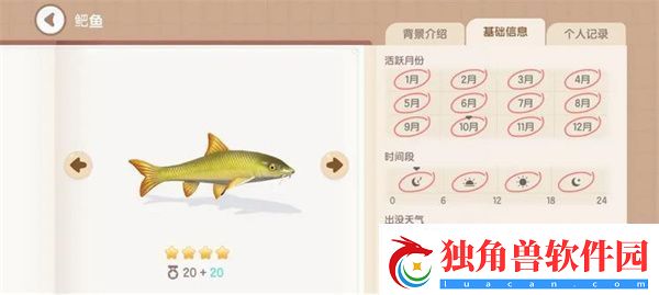心动小镇鲃鱼在哪钓