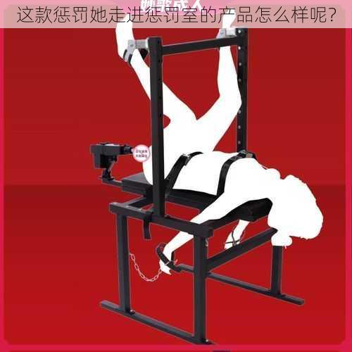 这款惩罚她走进惩罚室的产品怎么样呢？