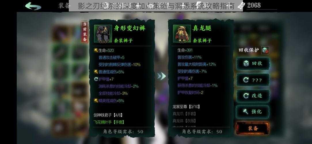 影之刃绝杀的深度加点策略与洞悉系统攻略指南