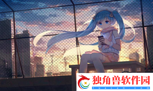 17C.CV-访问安全：保护数据与隐私的关键策略