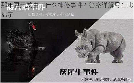 那年夏天发生了什么神秘事件？答案详解尽在此揭示