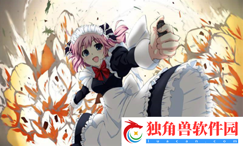 一线产品和二线产品的区别：如何选择适合您的产品