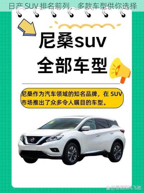 日产 SUV 排名前列，多款车型供你选择
